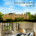Rooms to rent