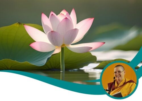 Post-Spring Festival retreat: 29 May - 31st May