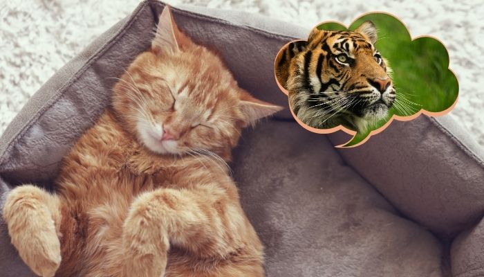 confidence to change