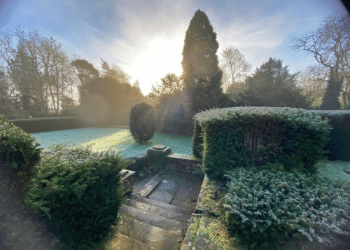 Winter afternoon tea & meditation