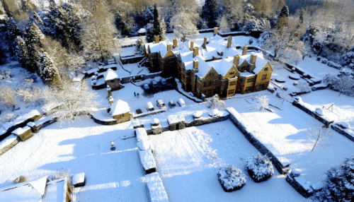 New Year course
